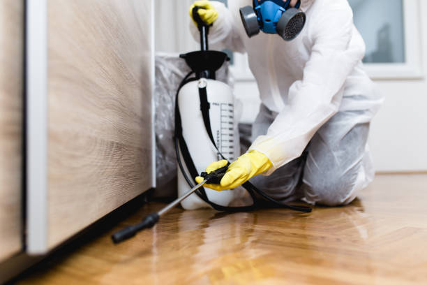 Reliable Key West, FL Pest Control Solutions