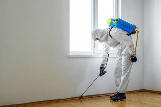 Best Pest Prevention Services  in Key West, FL